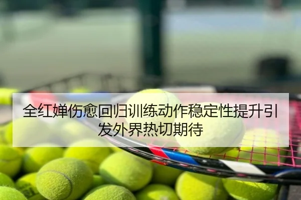 全红婵伤愈回归训练动作稳定性提升引发外界热切期待